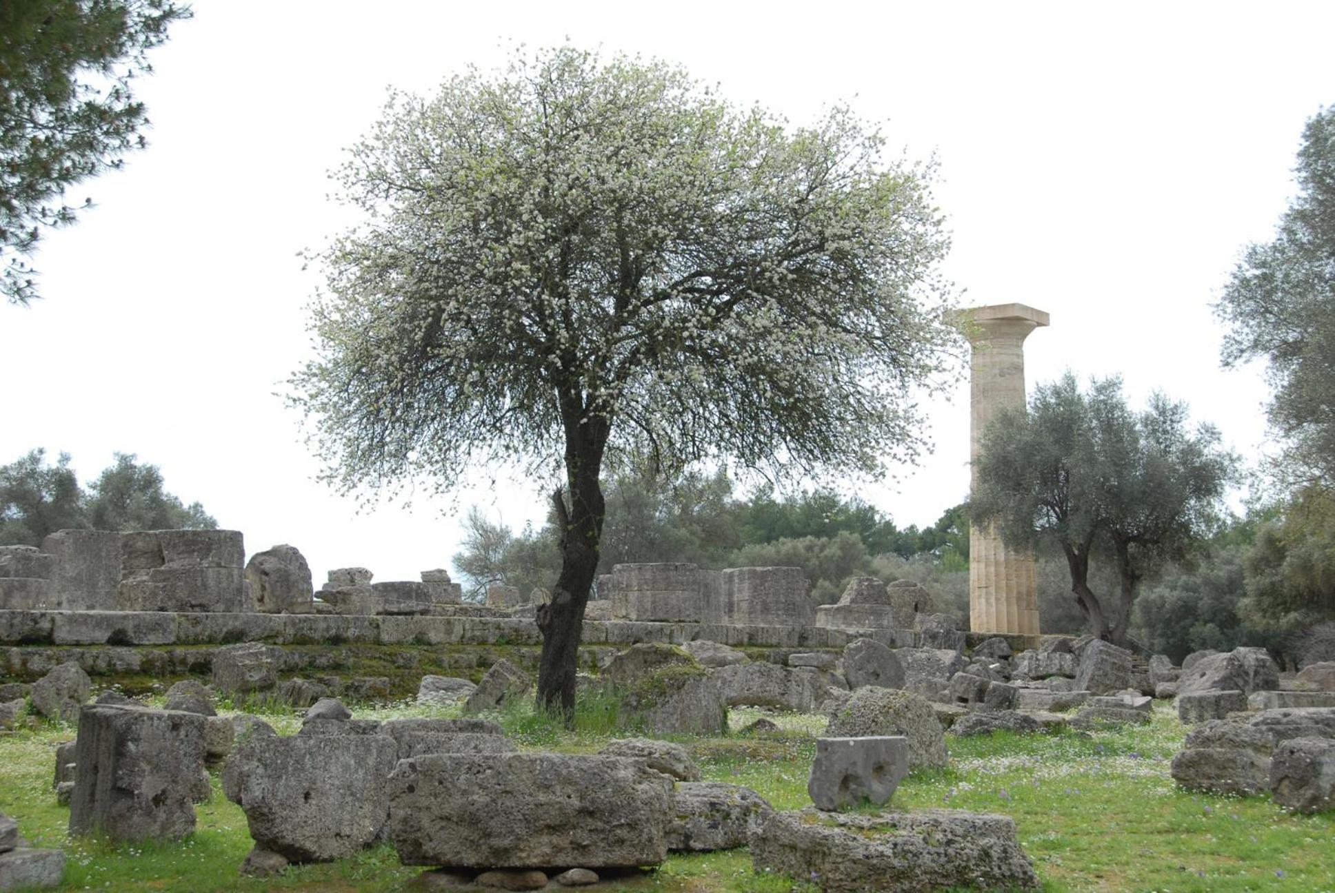 Fotis Rooms Skafidia Dış mekan fotoğraf